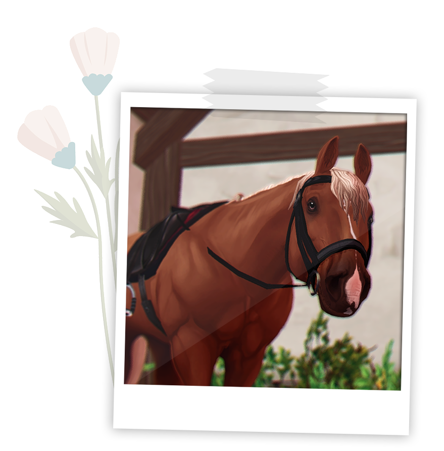 Cheval polaroid Star stable RP FR