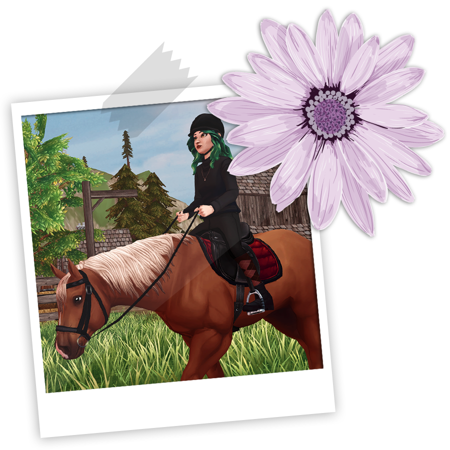 Cheval polaroid Star stable RP FR